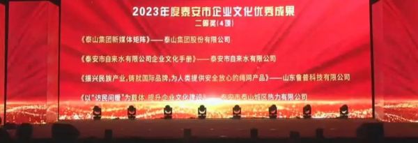 魯普要聞丨“銀企聯(lián)誼 凝聚共識(shí)促發(fā)展” 魯普耐特榮獲多項(xiàng)表彰